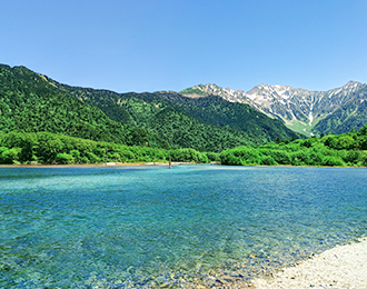 自然由来の成分をたっぷり配合